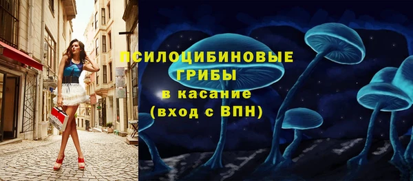 mdpv Мегион