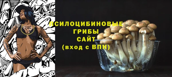 твердый Михайлов