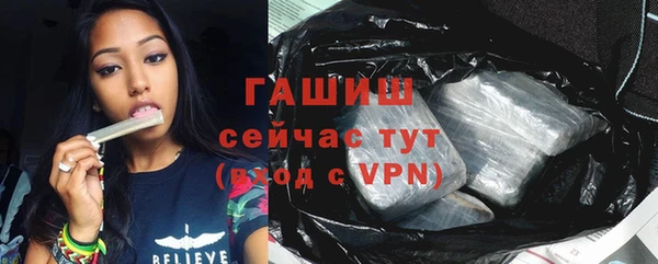 твердый Михайлов