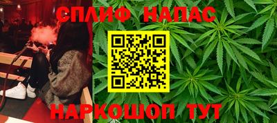 трава Аргун