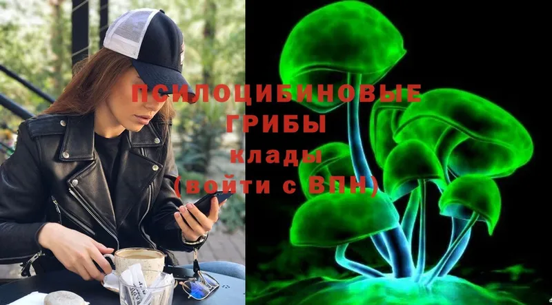 цена наркотик  Киржач  Галлюциногенные грибы Psilocybe 