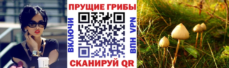 Псилоцибиновые грибы мицелий  гидра ССЫЛКА  Киржач 