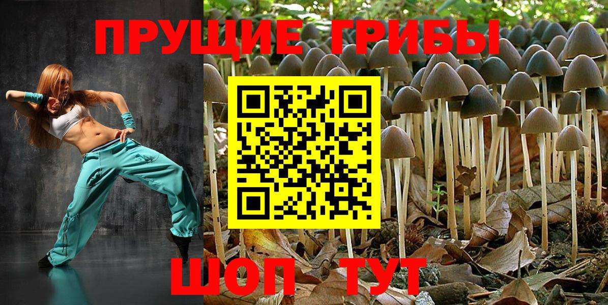 Галлюциногенные грибы мухоморы Киржач